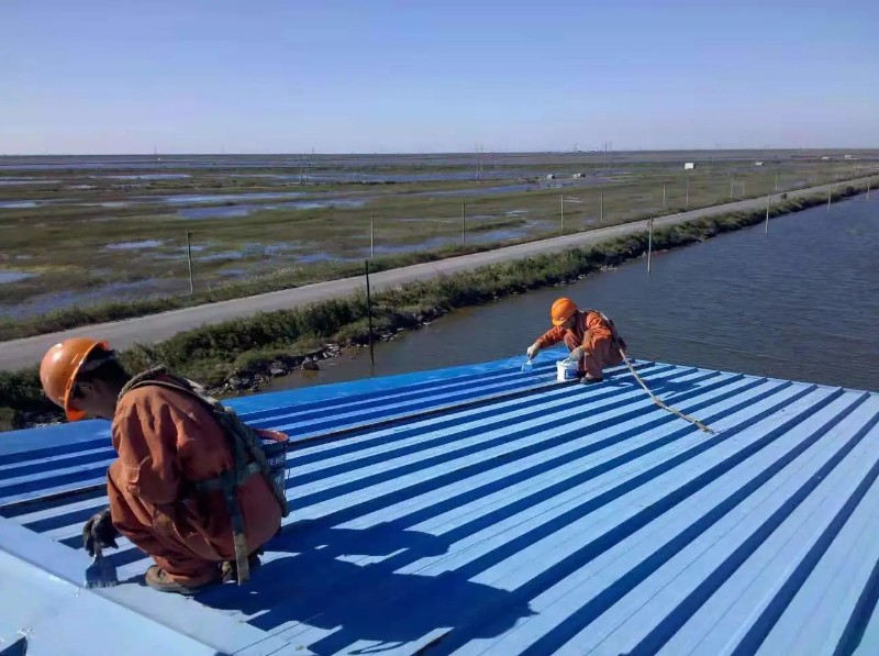 南阳彩钢瓦屋面防腐翻新